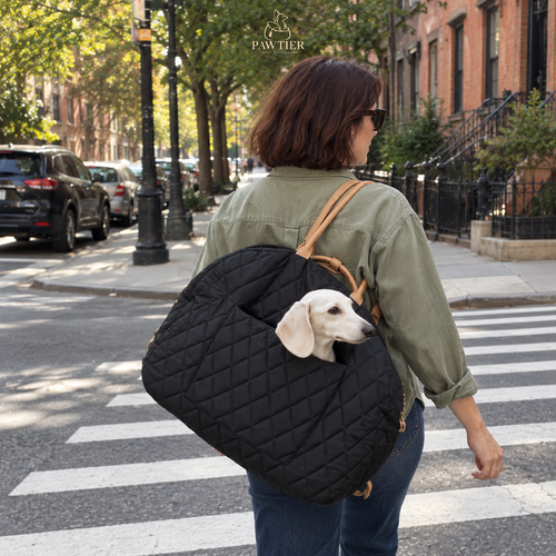 Pawtier Convertible Pet Carrier & Car Seat