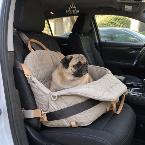Pawtier Convertible Pet Carrier & Car Seat