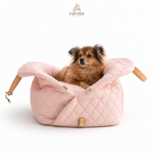 Pawtier Convertible Pet Carrier & Car Seat