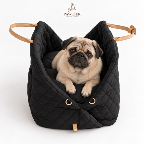 Pawtier Convertible Pet Carrier & Car Seat