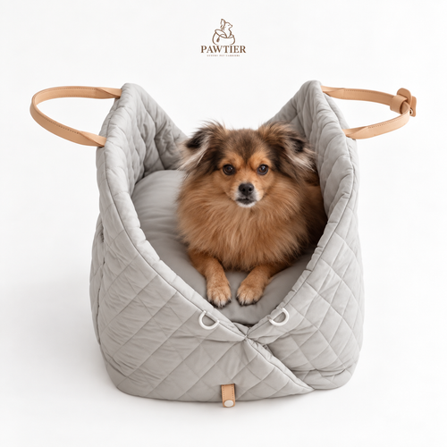 Pawtier Convertible Pet Carrier & Car Seat